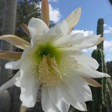 게스트하우스 Warung