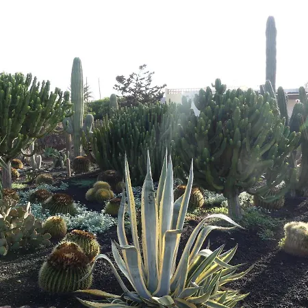 Pensjonat Warung Lajares